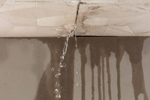 Professional Sewage Cleanup technician working in Cottage Hills, IL